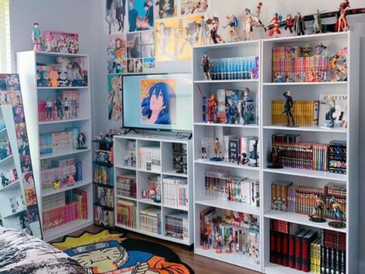 Anime Room Shelf Inspiration